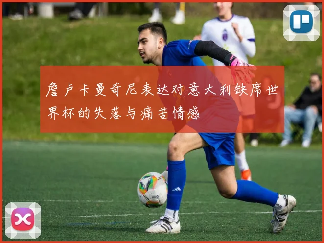 詹卢卡曼奇尼表达对意大利缺席世界杯的失落与痛苦情感