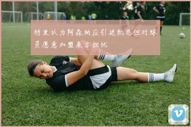 特里认为阿森纳应引进凯恩但对球员愿意加盟表示担忧