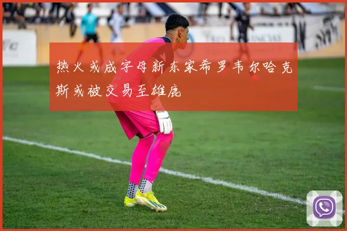 热火或成字母新东家希罗韦尔哈克斯或被交易至雄鹿